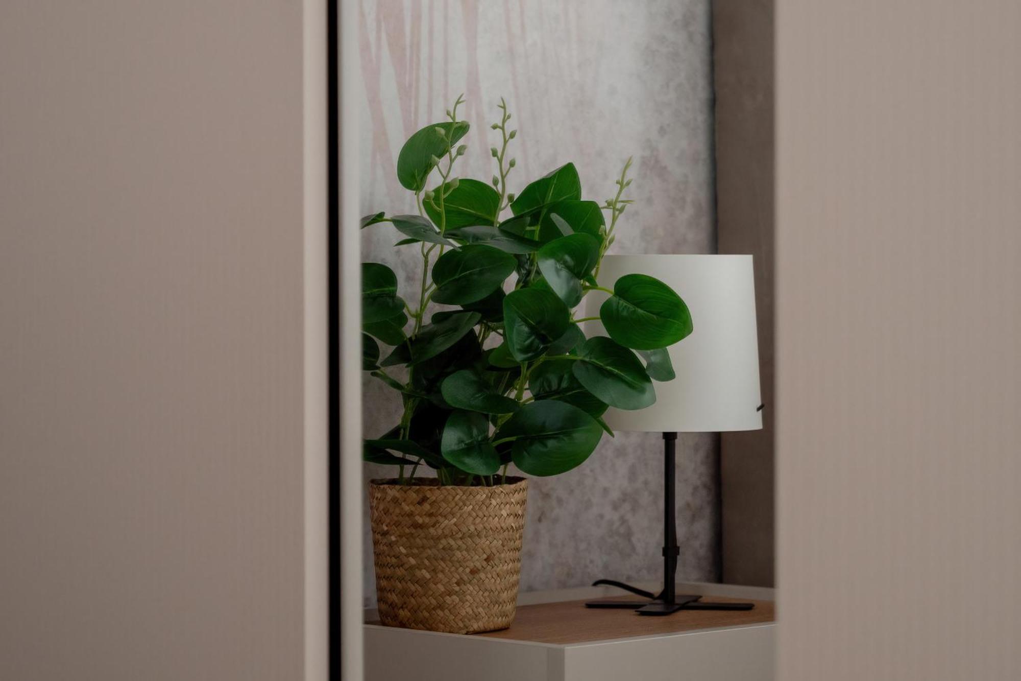 Exceptional Apartment With Parking By Noclegi Renters Katovice Exteriér fotografie